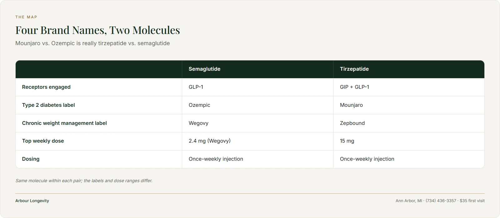 Brand map: semaglutide sold as Ozempic and Wegovy, tirzepatide as Mounjaro and Zepbound, with receptors and top doses