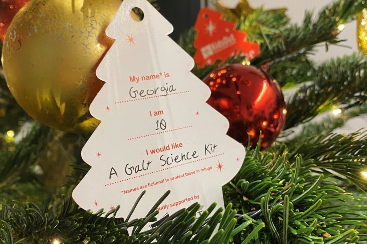 KidsOut Giving Tree initiative brightens the holidays