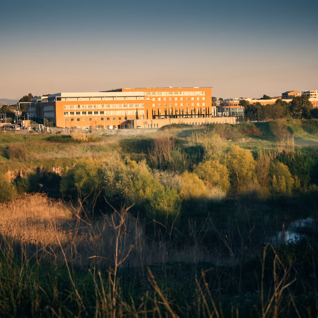 Università Campus Bio-Medico