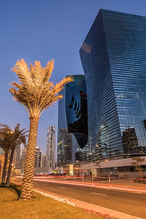 A palm tree in front of a tall building.
