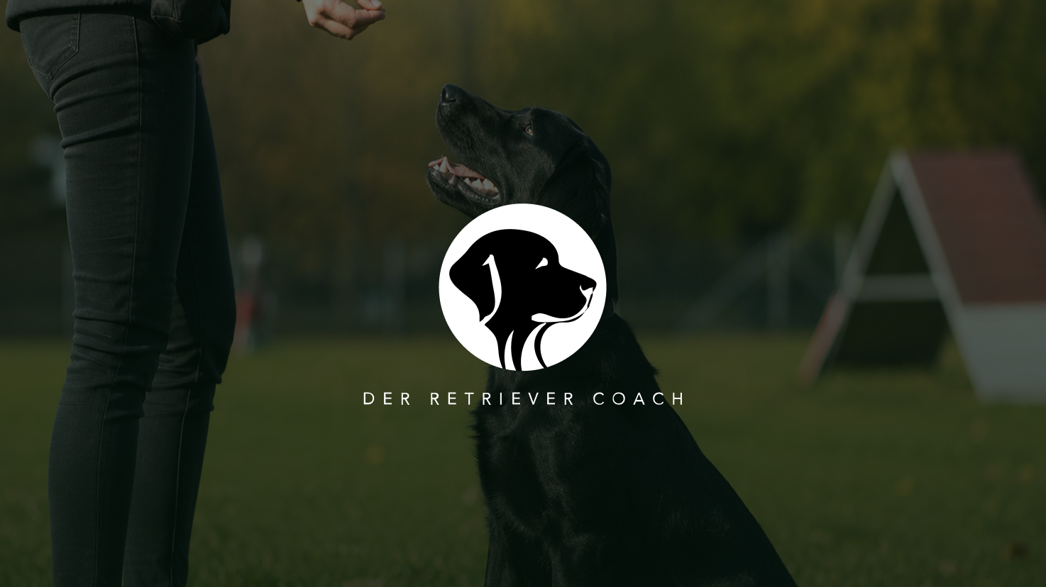 Case Study: Der Retriever Coach senkt Leadpreis von 15 € auf 2,70 € mit Optimind
