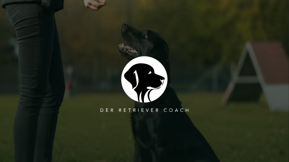 Logo von Der Retriever Coach vor einem schwarzen Retriever auf einer Hundewiese