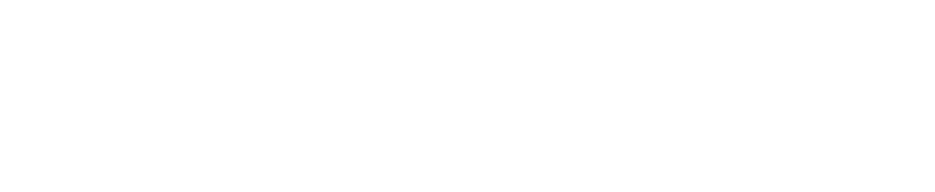 Paragon Cyber Security Logo Monochrome white