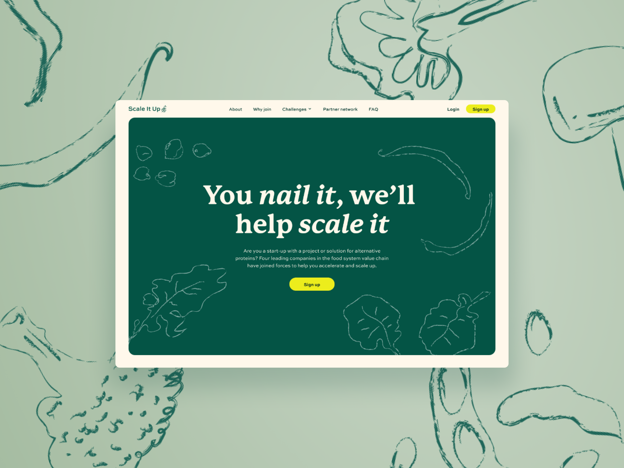 Four leaders in food production joined forces to move towards a more sustainable, greener future. Scale It Up! gives plant-based food start-ups the opportunity to join a 6 months mentorship program with one of the partner companies and support in scaling up their business.