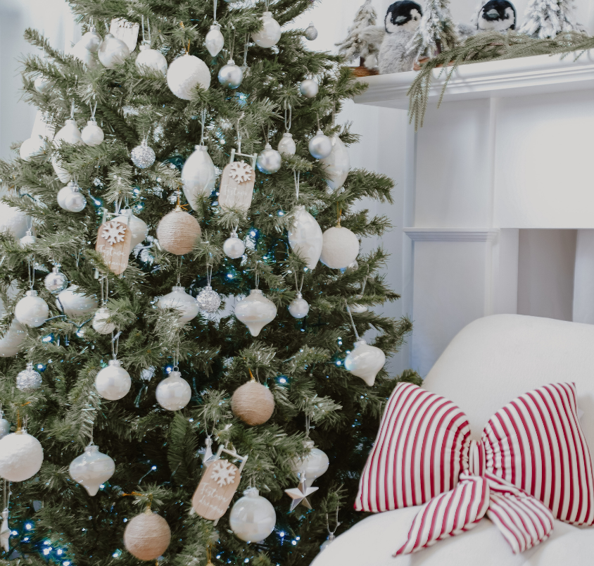 Christmas Shoot