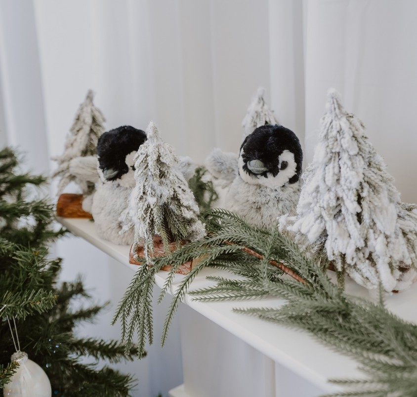 Christmas Shoot