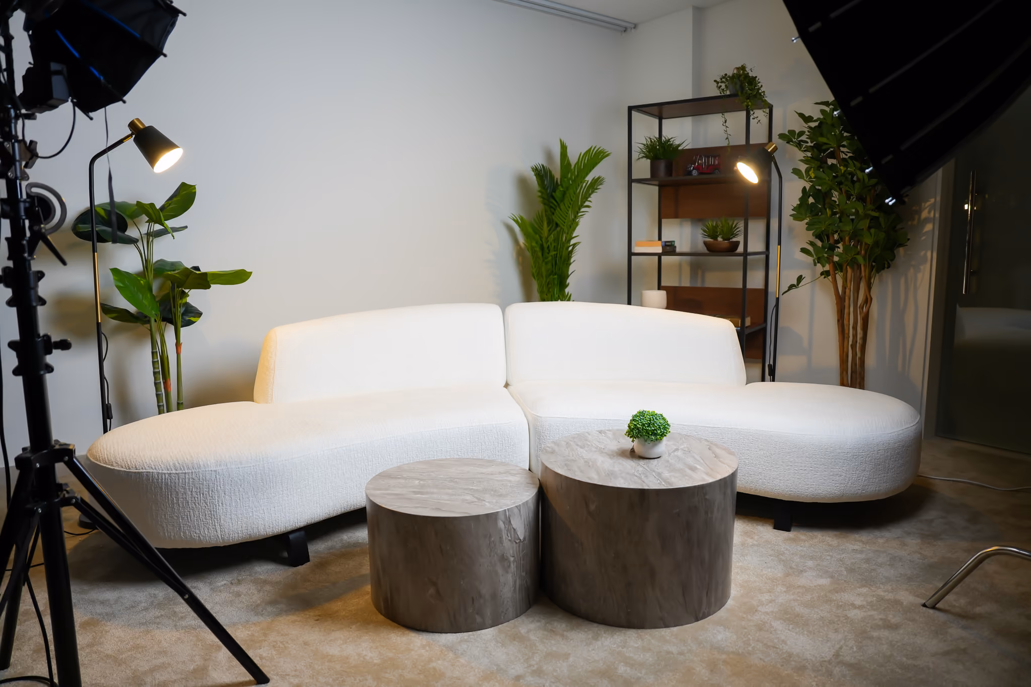Modern Sofa Setup with a white wall background, plants and a shelf