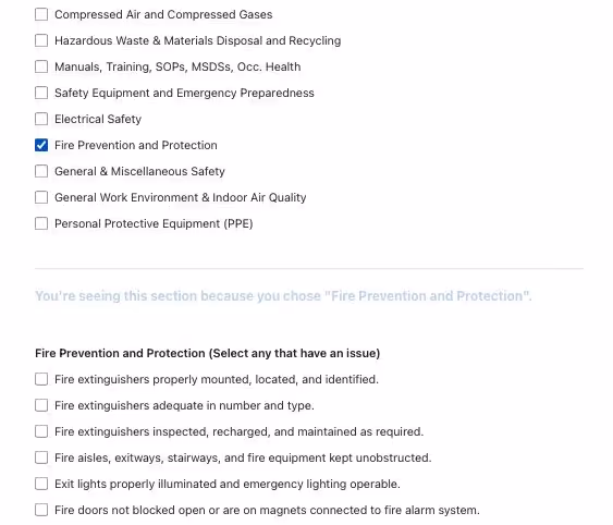 Safety Audit Conditional Logic