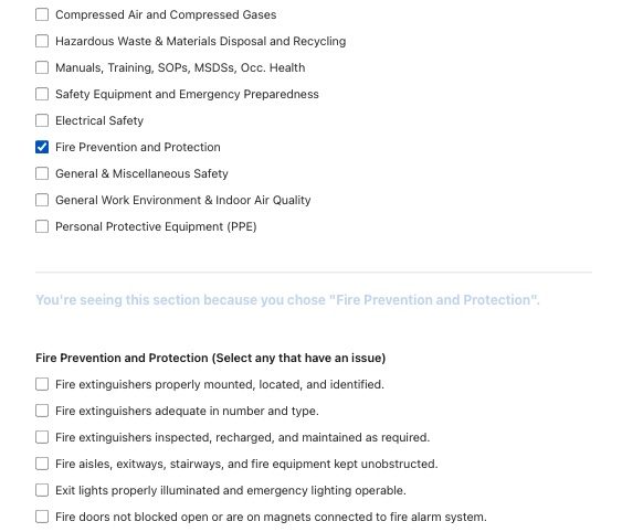Safety Audit Conditional Logic