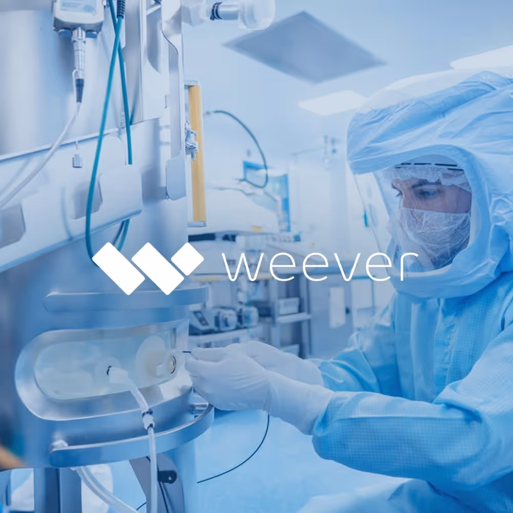 Case-Study--Weever-3