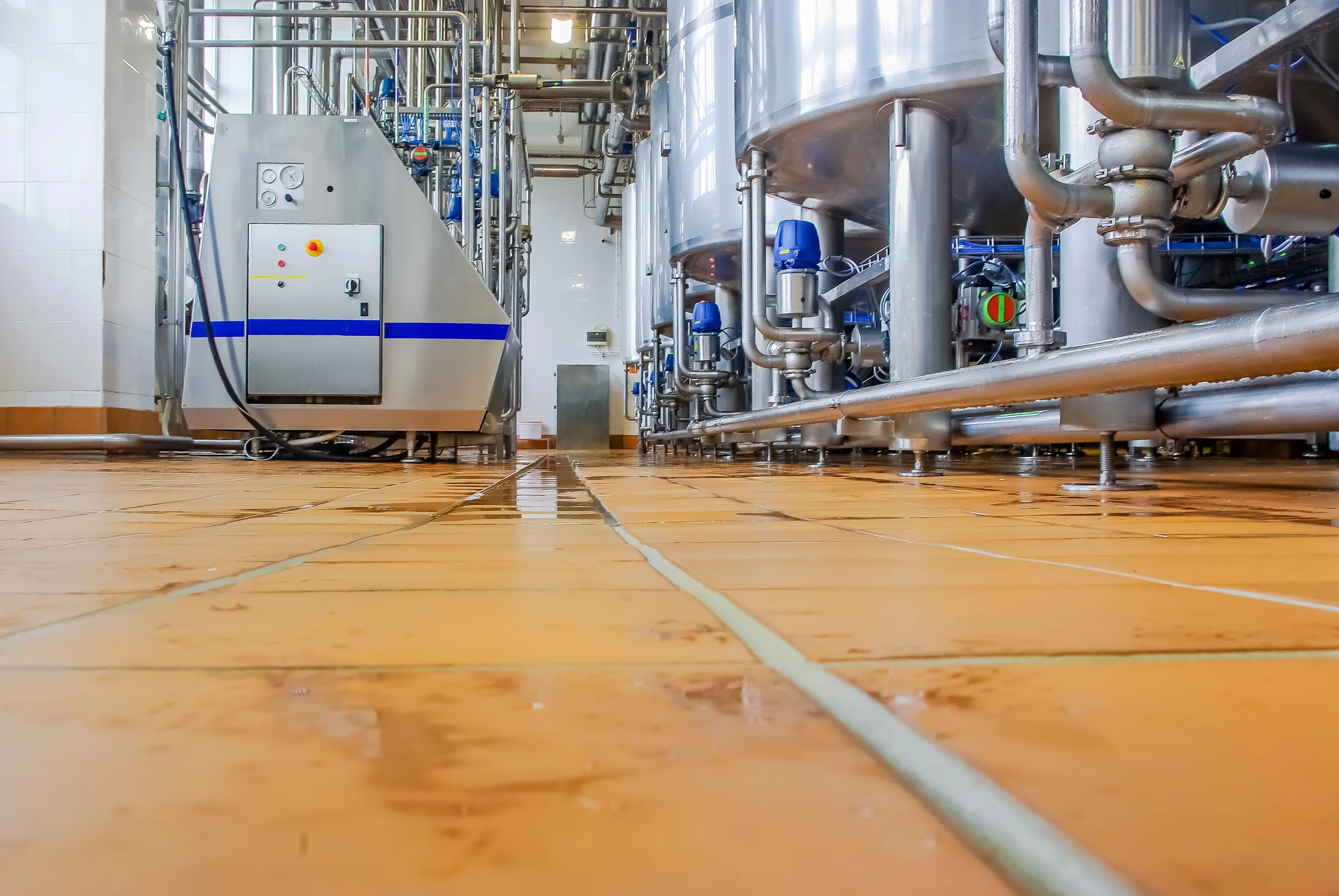 Food processing floor with stainless steel tanks