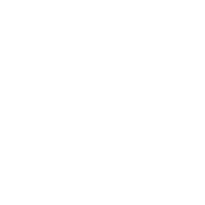 Baskin Robbins Logo