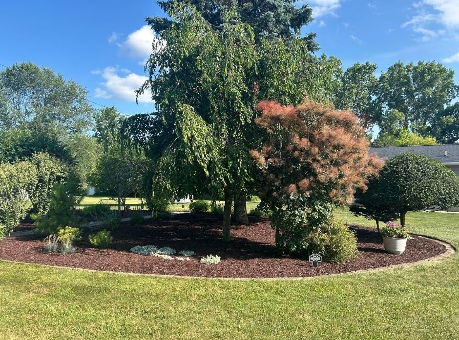 Garden bed with various trees and plants surrounded by a green lawn under a blue sky with clouds.