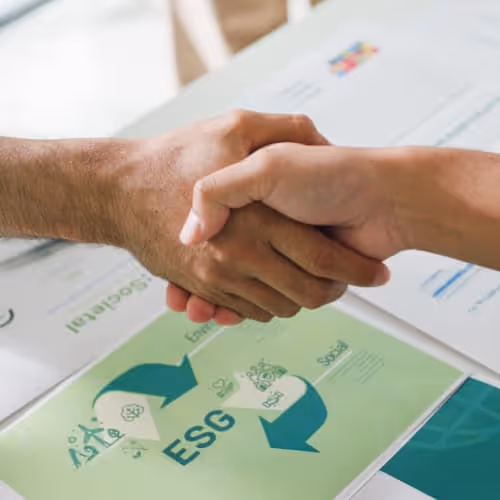 Eco friendly packaging