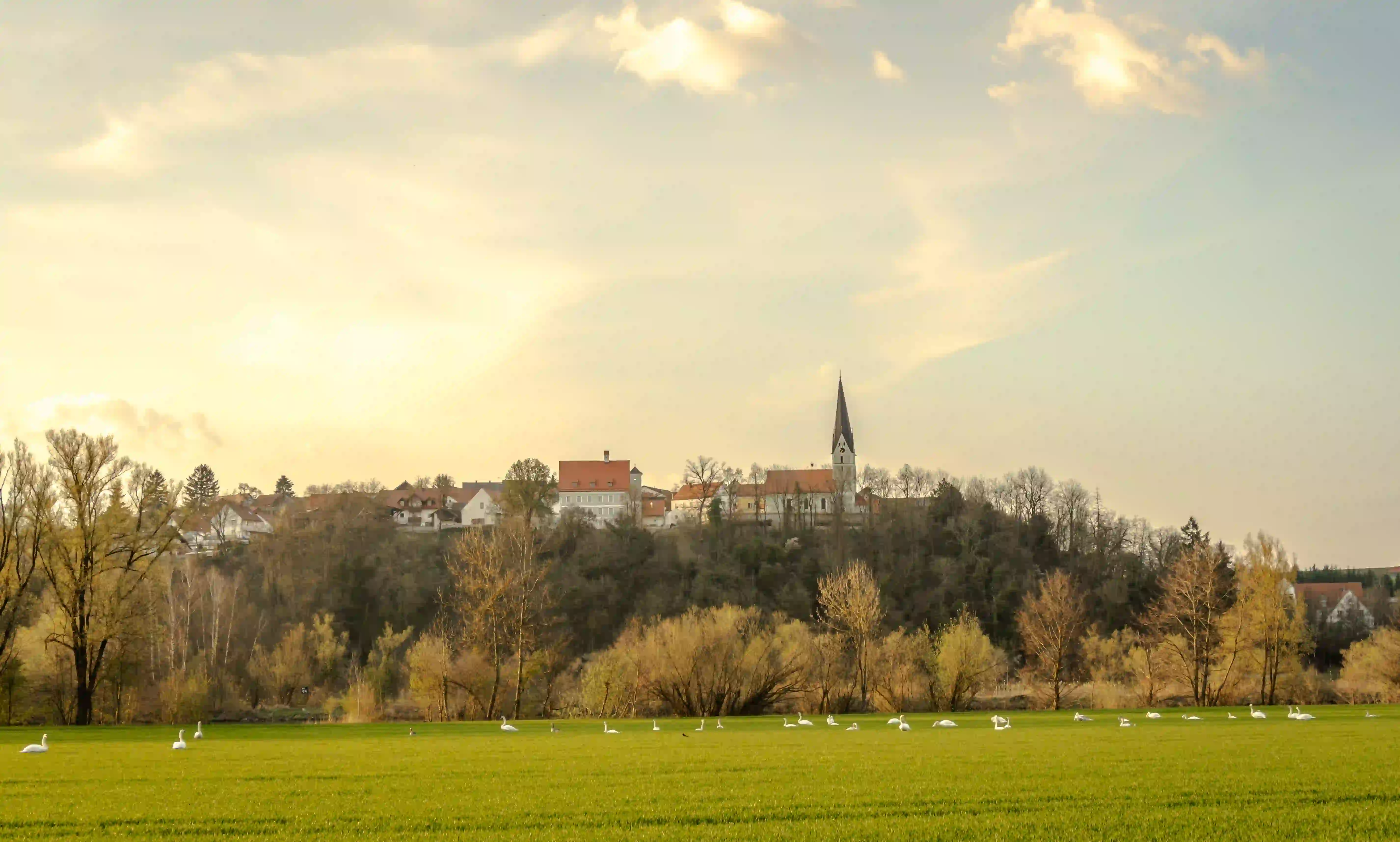 Immobilienpreise Bad Abbach