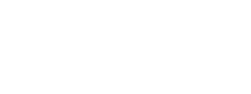APX Logo