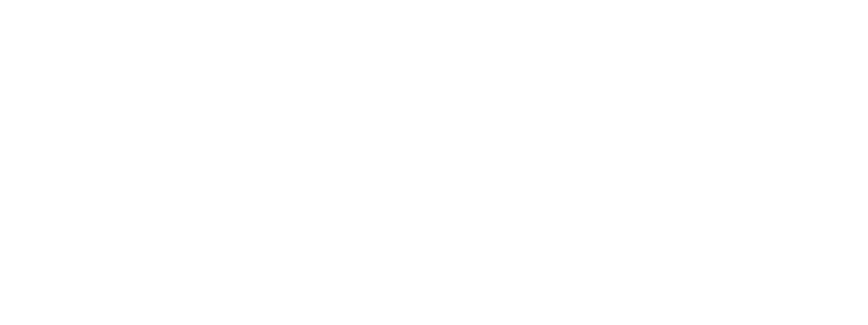 SAP LeanIX Logo