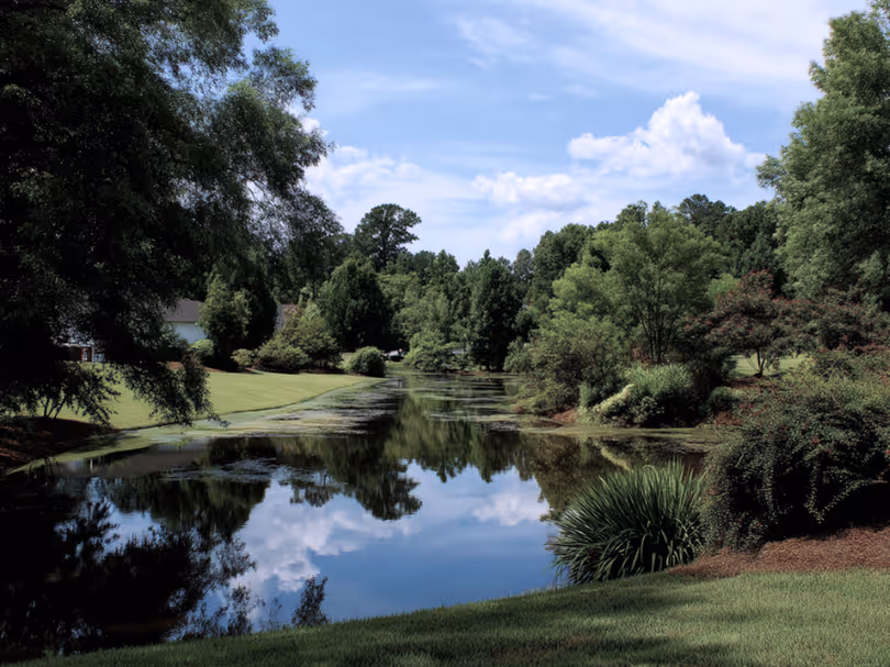 Calm pond surrounded by green trees and bushes with a blue sky and clouds reflected in the water.