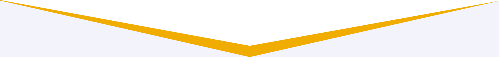 yellow divided
