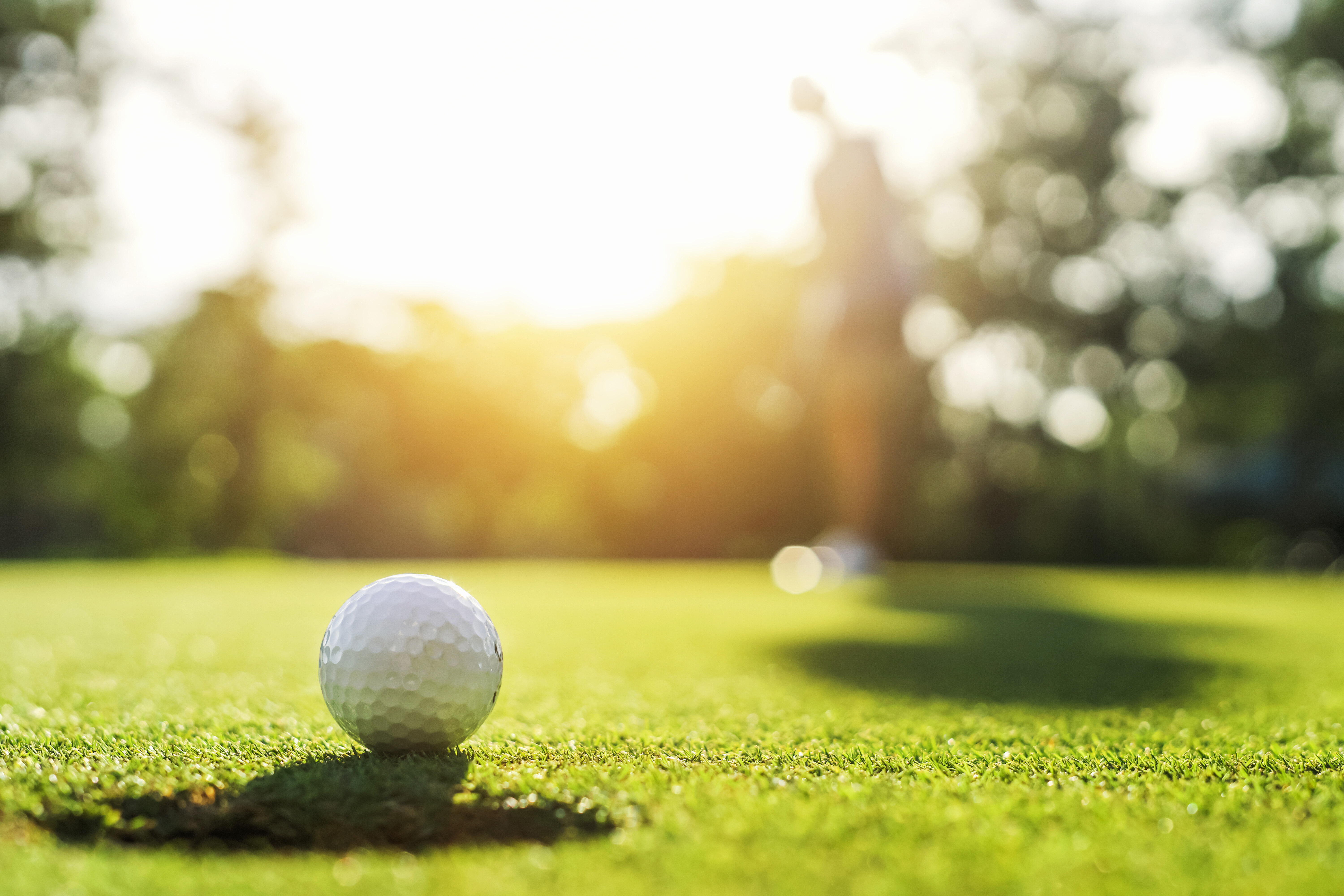 golf course stock image