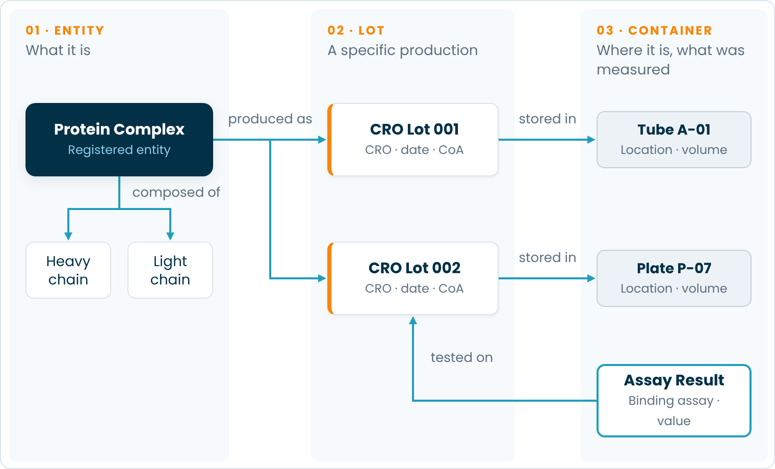 Diagram showing how a protein complex and its chains relate to CRO lots, containers, and an assay result in the Benchling data model