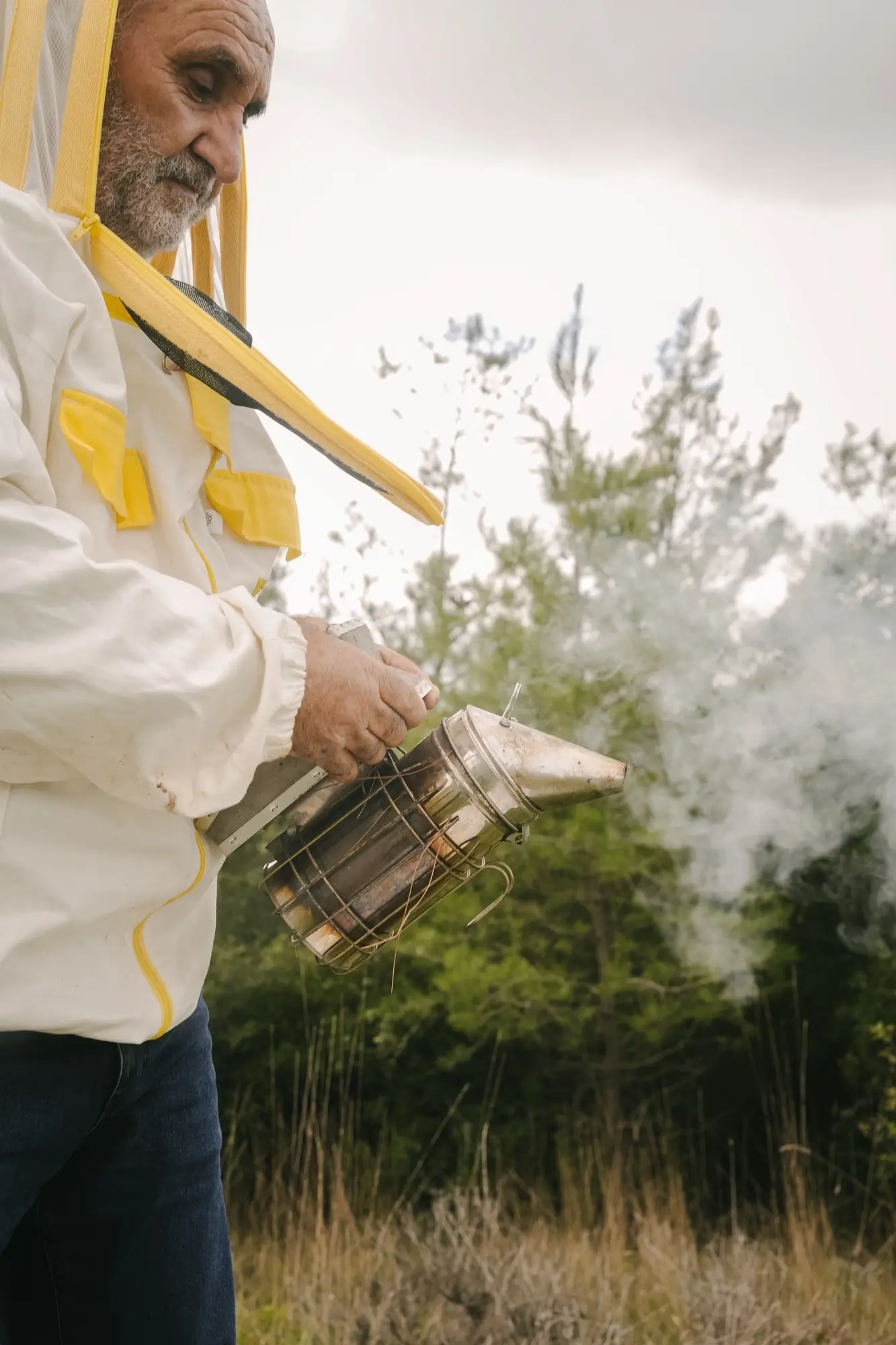 Beekeeper in protective suit holding a smoker emitting smoke in a forested area.
