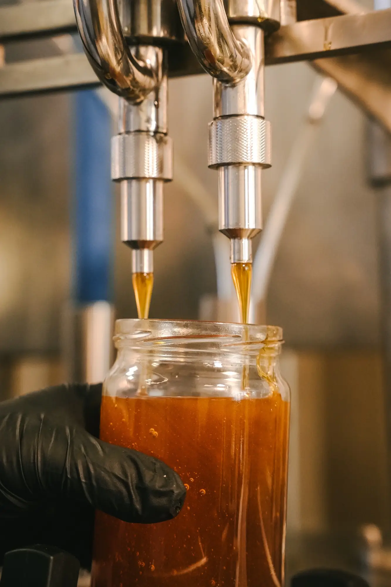 Close-up of golden honey being dispensed from stainless steel nozzles into a glass jar held by a gloved hand.