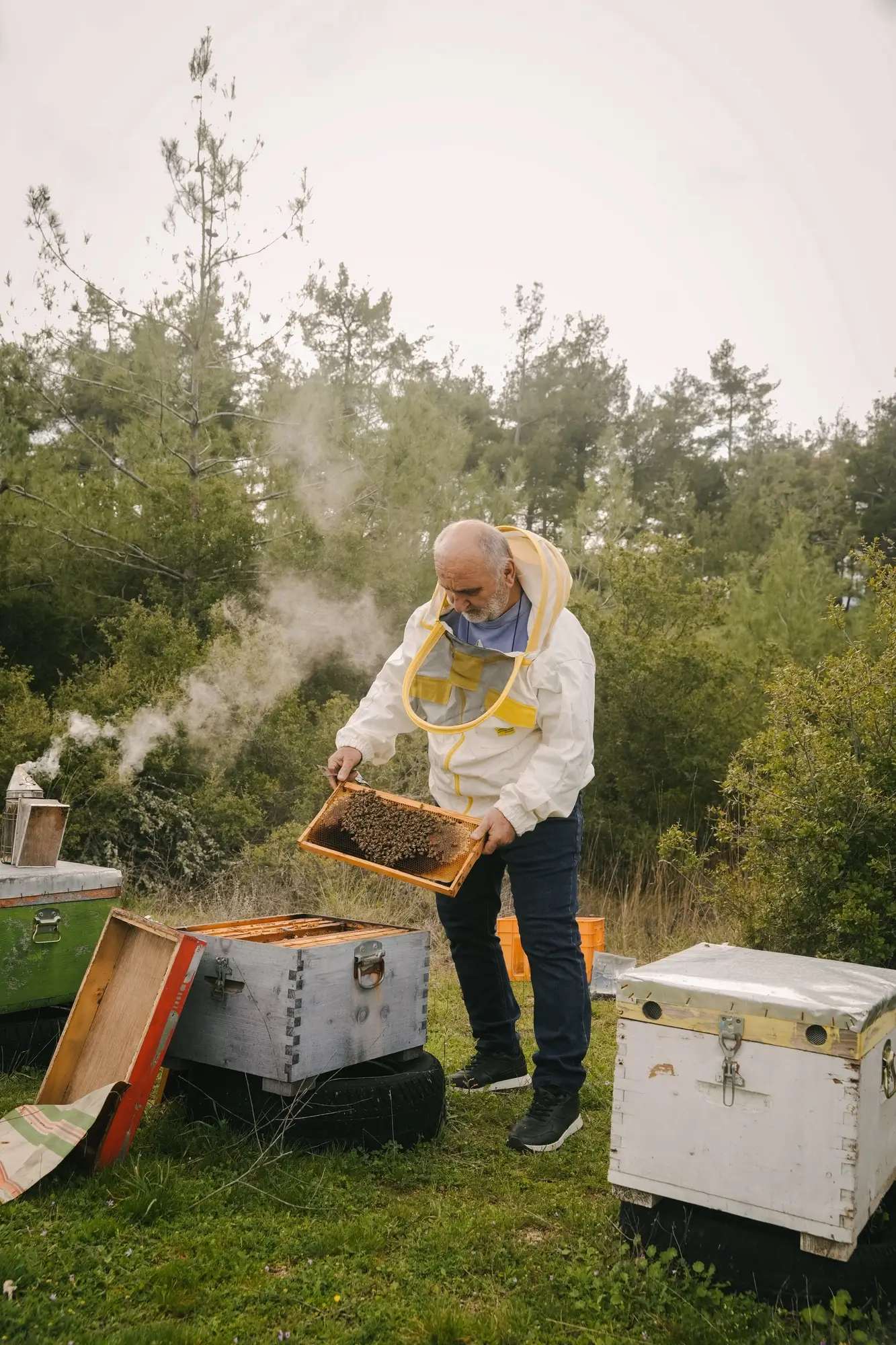 Beekeeper in protective clothing inspecting a honeycomb frame near beehives in a forest clearing with smoke rising.