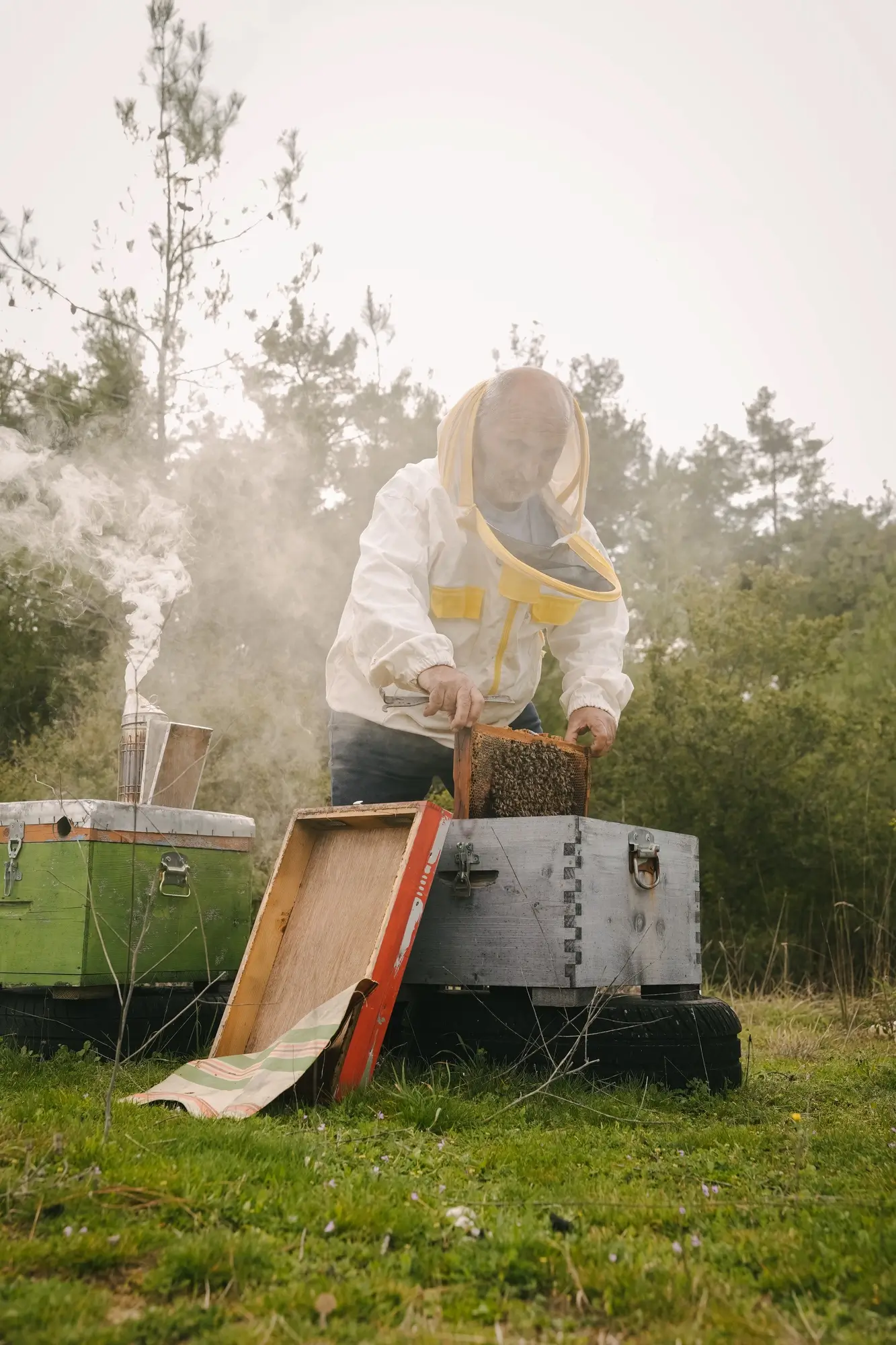 Beekeeper in protective gear inspecting a honeycomb frame near wooden beehives in a grassy field.