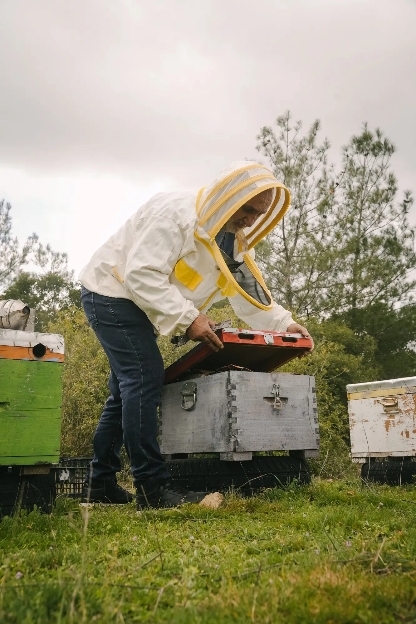 Beekeeper wearing protective gear inspecting a wooden beehive outdoors.