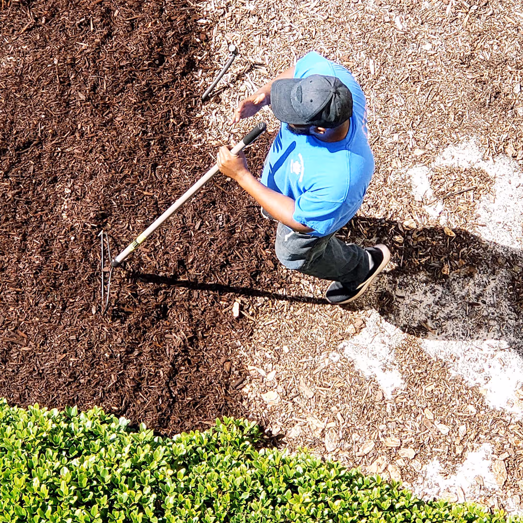 Mulch installation and landscape bed maintenance near me