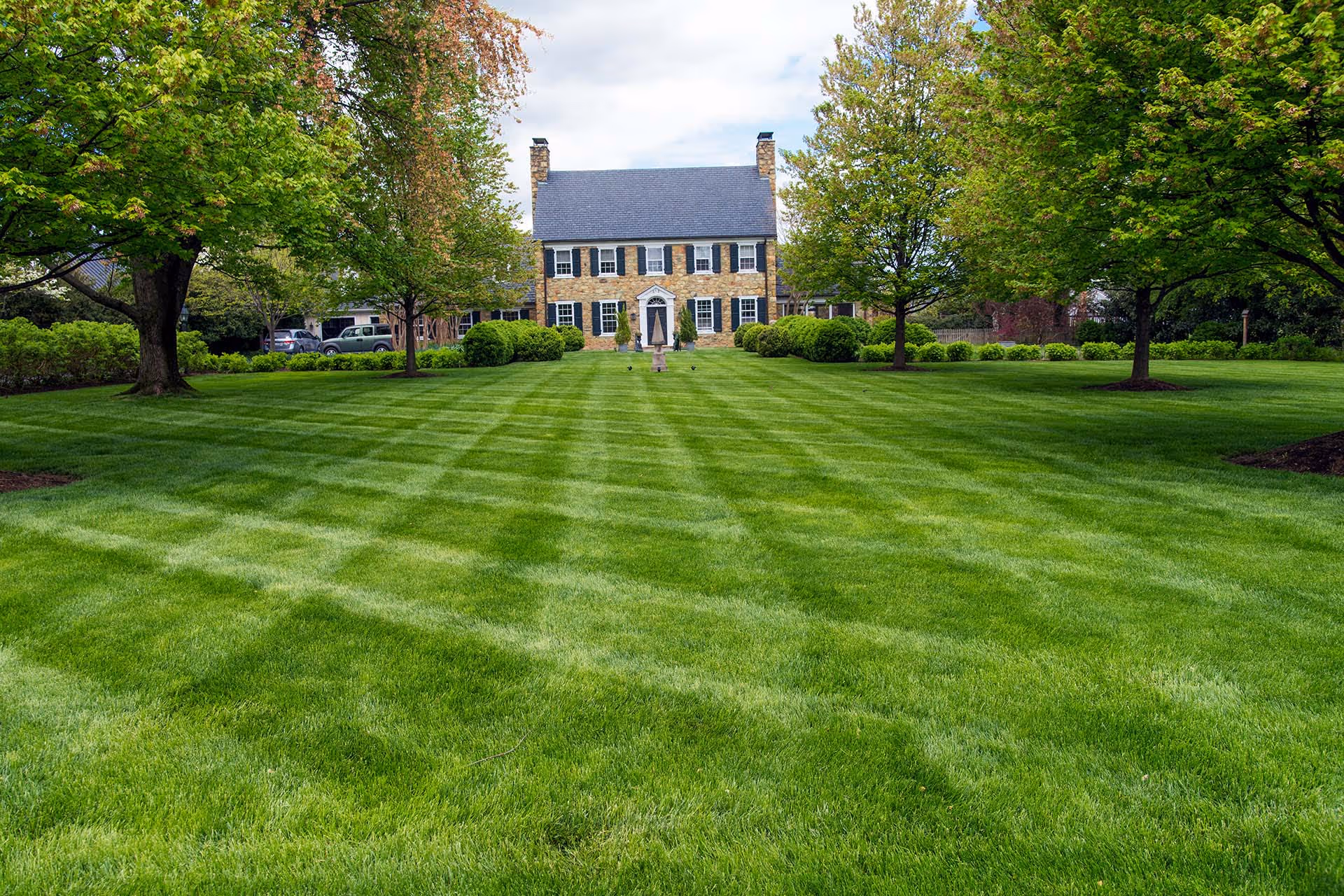 Lawn maintenance with mowing, trimming, and cleanup