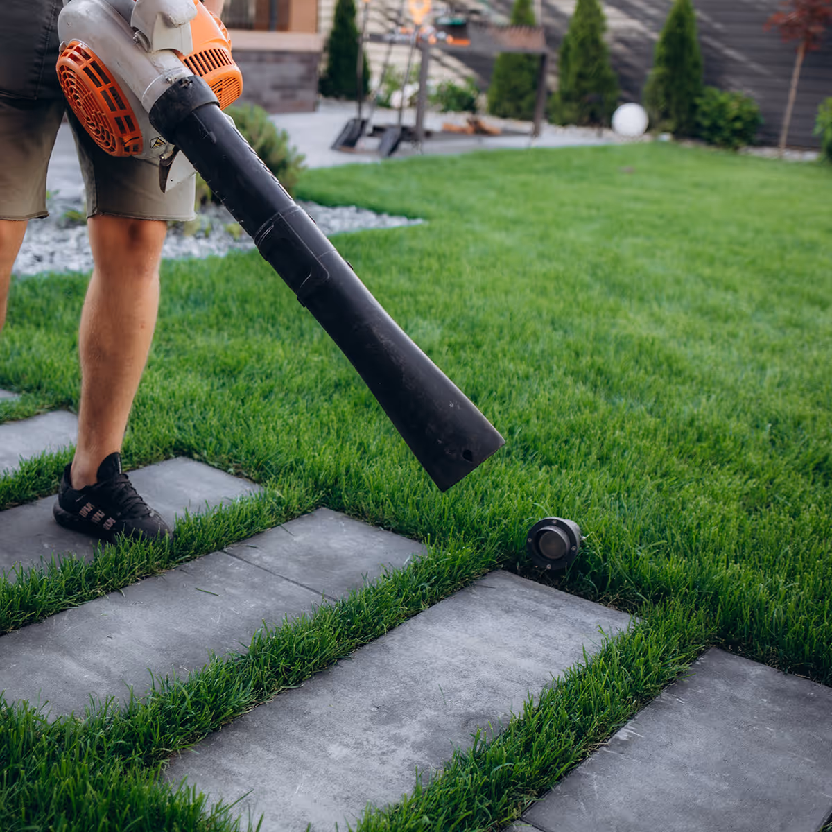 Lawn mowing and maintenance services near me
