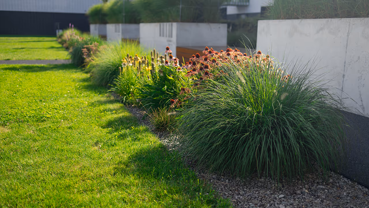 Professional landscape maintenance for clean and polished properties