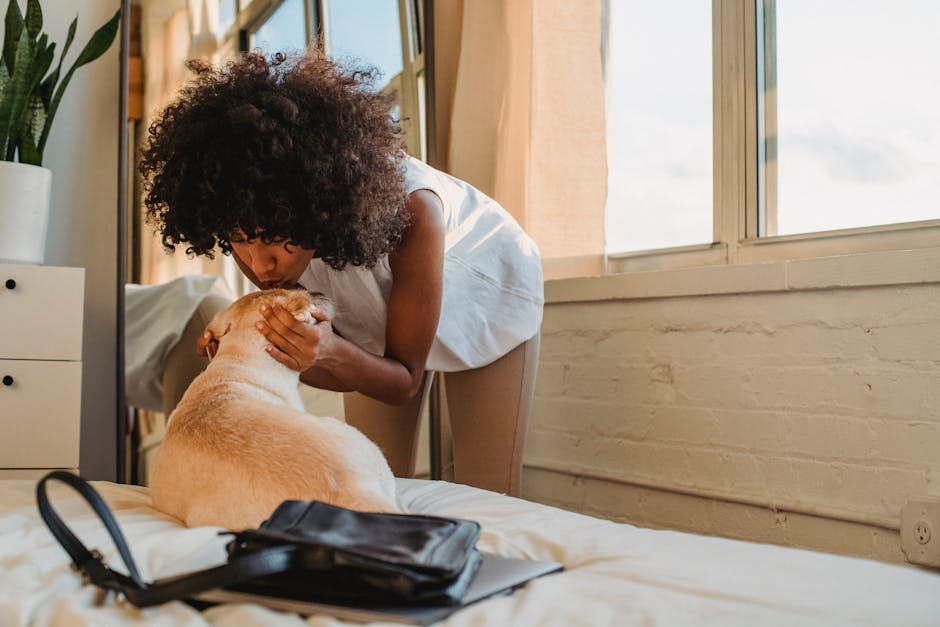 1 bedroom pet friendly apartments near me