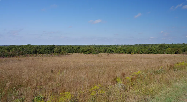 A photo of the Fair Oaks Innovation Park site