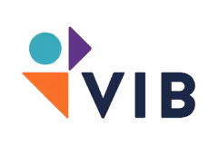 VIB logo with teal circle, purple triangle pointing right, and orange triangle pointing left, next to navy blue letters VIB.