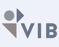 Logo with abstract geometric shapes followed by the letters VIB.