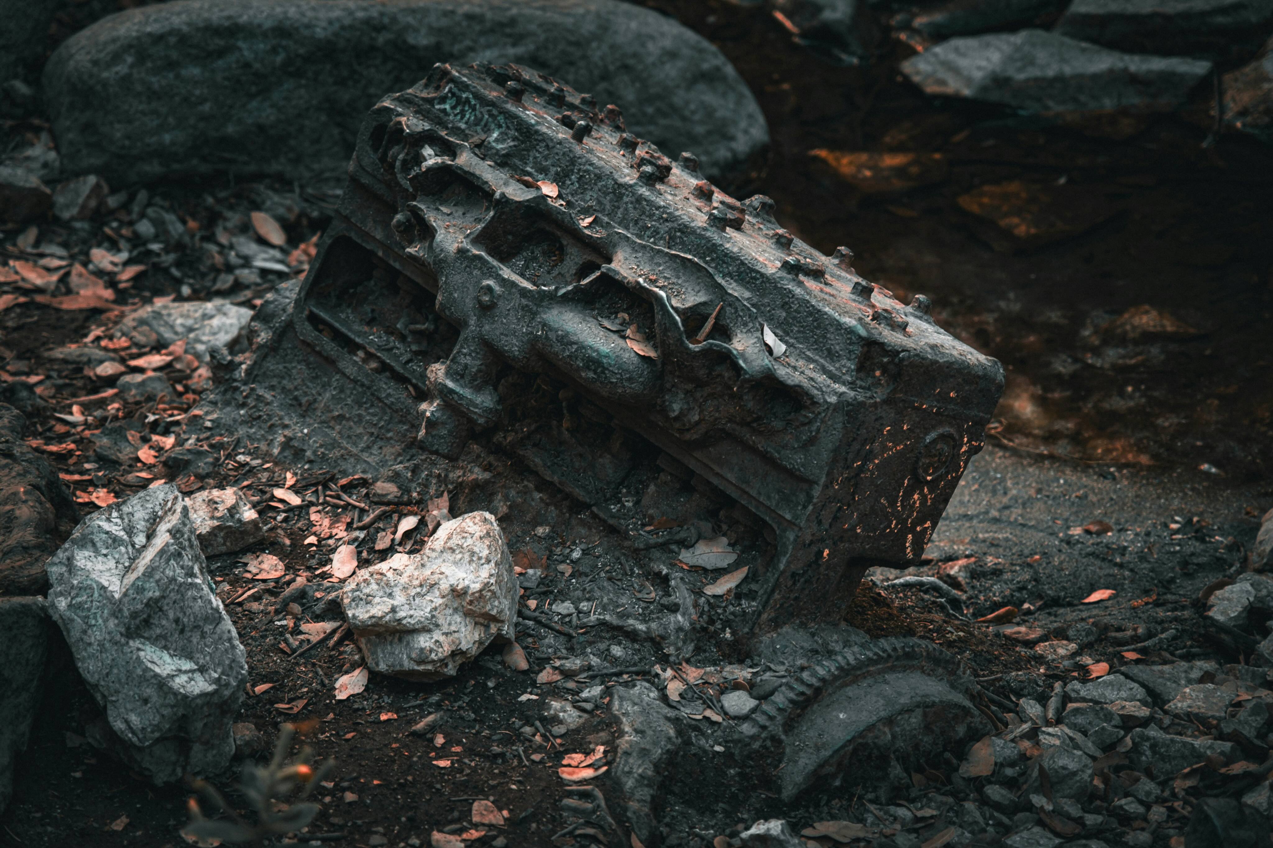 Charred forest floor after a wildfire
