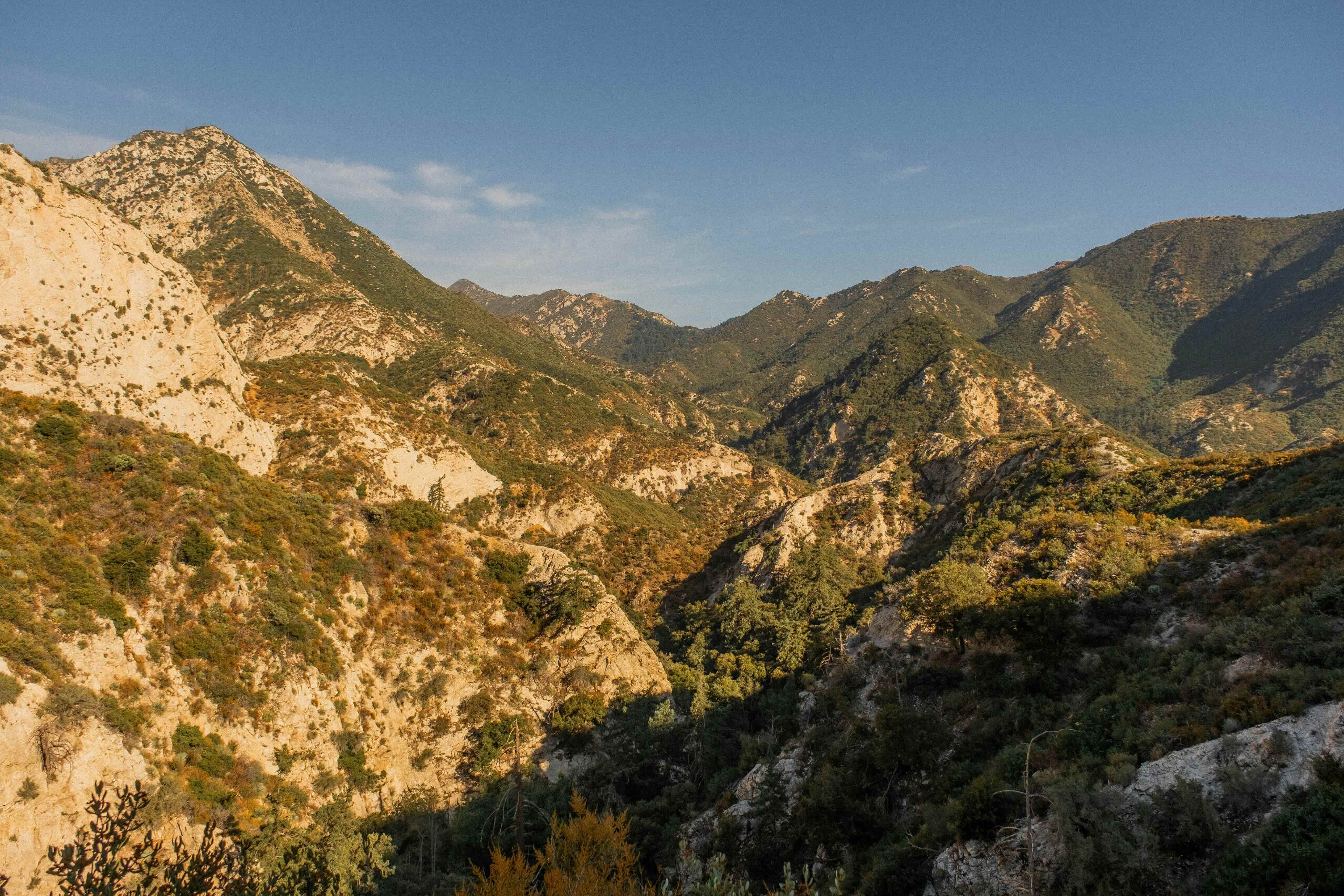 Wildfire-affected hillside