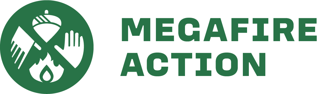 Megafire Action