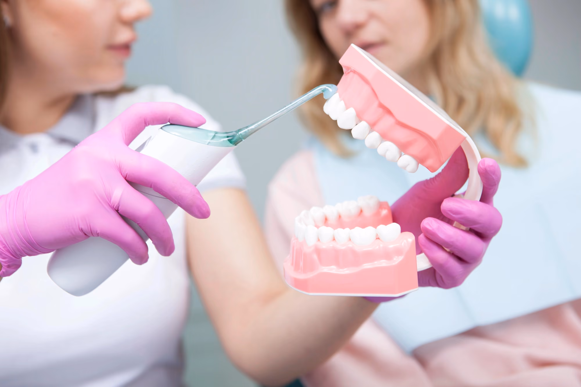Dentist showing teeth model patient