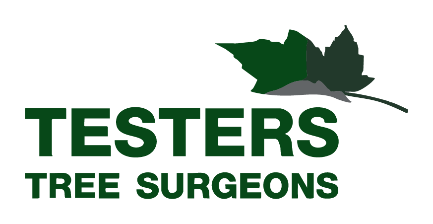 Logo with dark green text 'TESTERS TREE SURGEONS' and a graphic of a green leaf above the text.