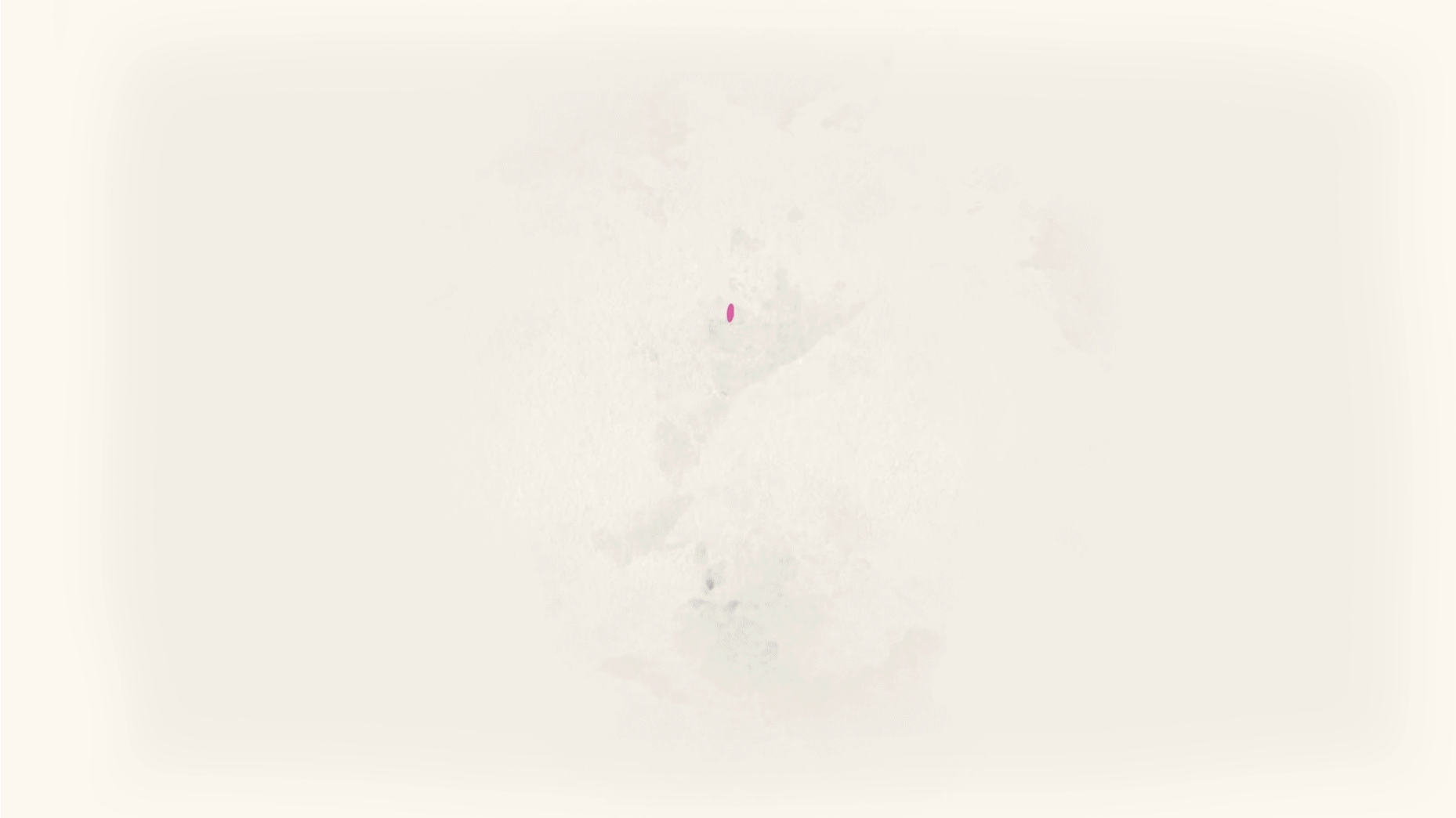 Spirit Blossom Beyond — animated event visual