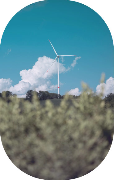 Desarrollo sostenible