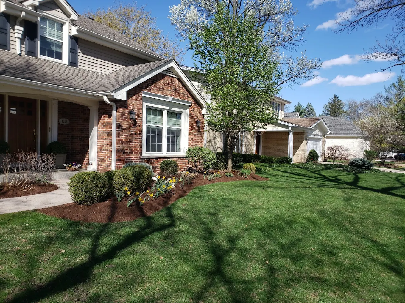 Well-maintained front yard with green lawn, trimmed shrubs, blooming daffodils, and flowering tree in front of brick and siding houses.