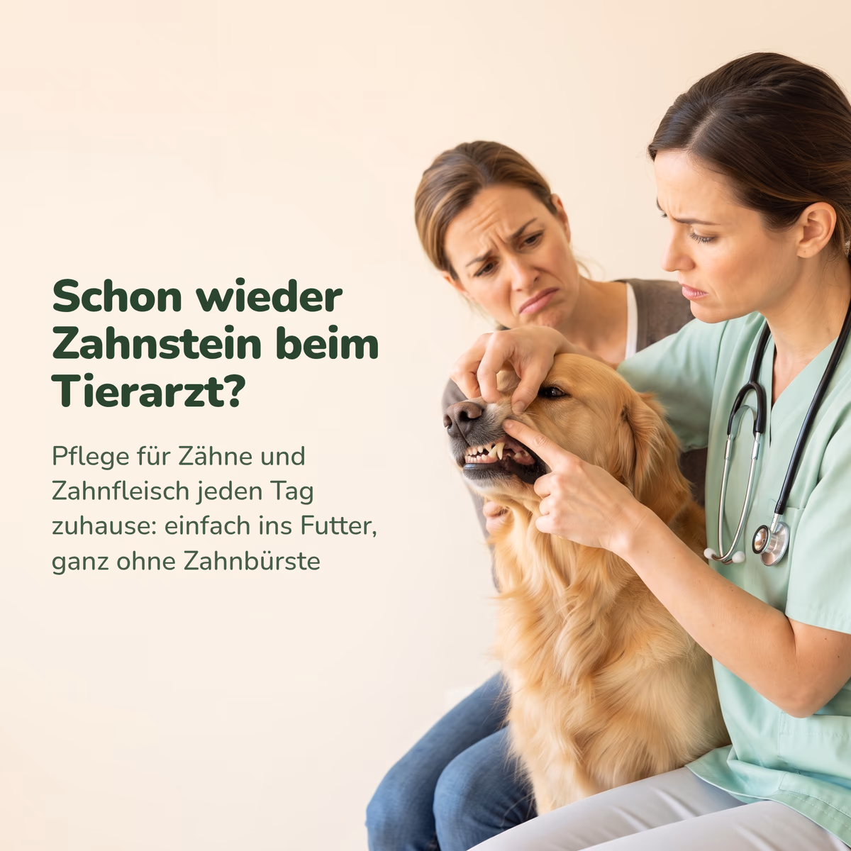 Schon wieder Zahnstein beim Tierarzt? Zahnpflege für Hunde einfach ins Futter