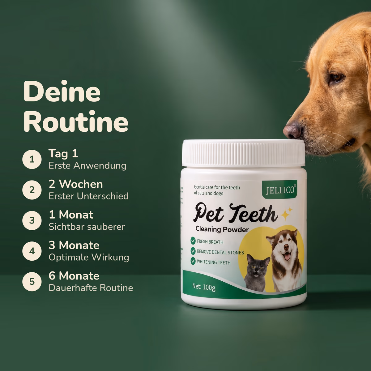 Deine Routine: Tag 1 bis 6 Monate mit BiteFresh