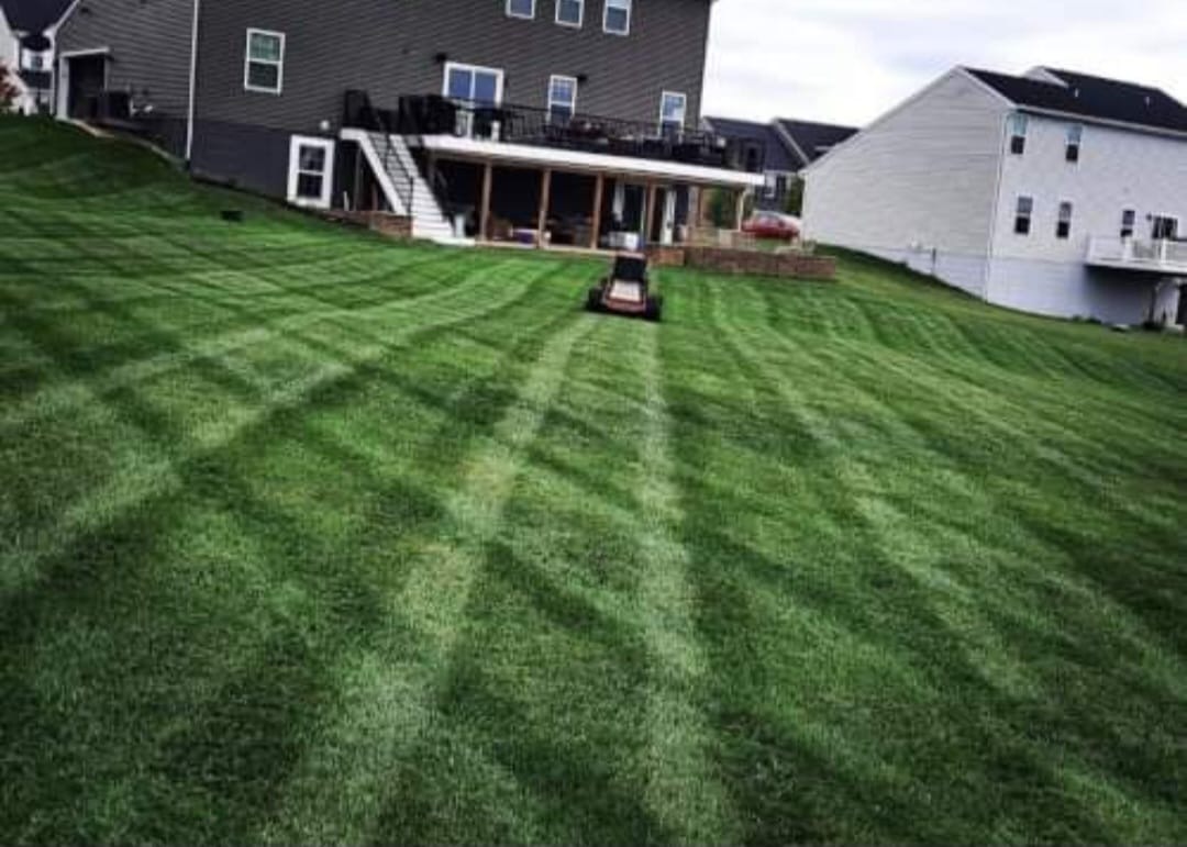 Patterned green lawn with stripes in front of two houses, featuring a riding lawn mower near the center.