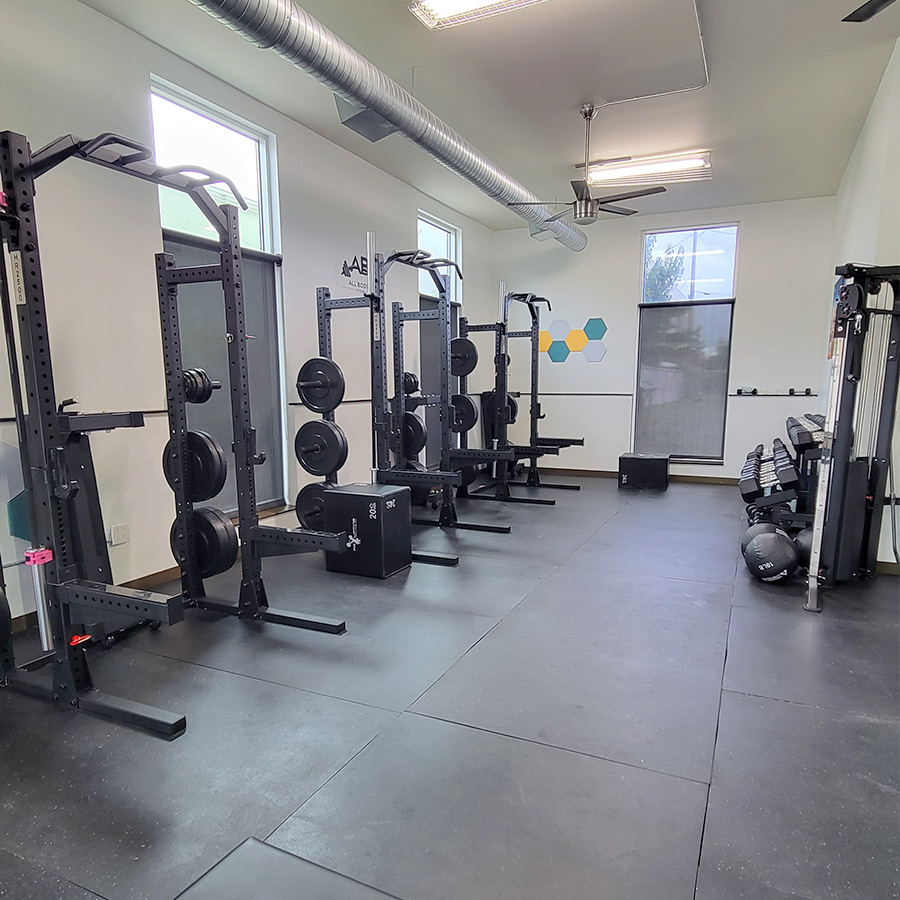All Bodies Gym - open space with powerlifting racks